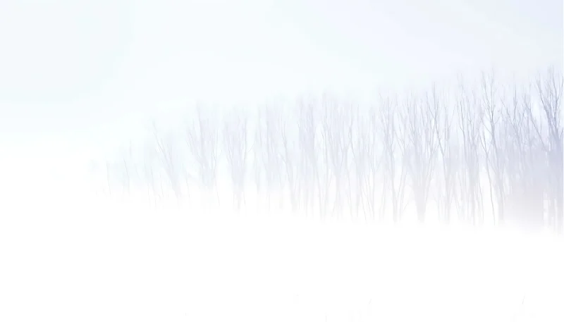 Hình nền trắng trơn (3)