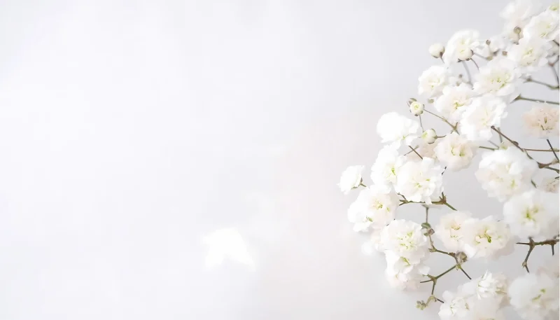 Hình nền trắng cho máy tính