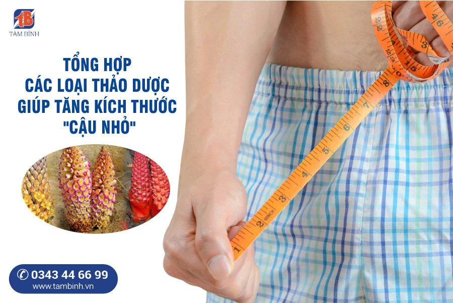 thảo dược tăng kích thước cậu nhỏ