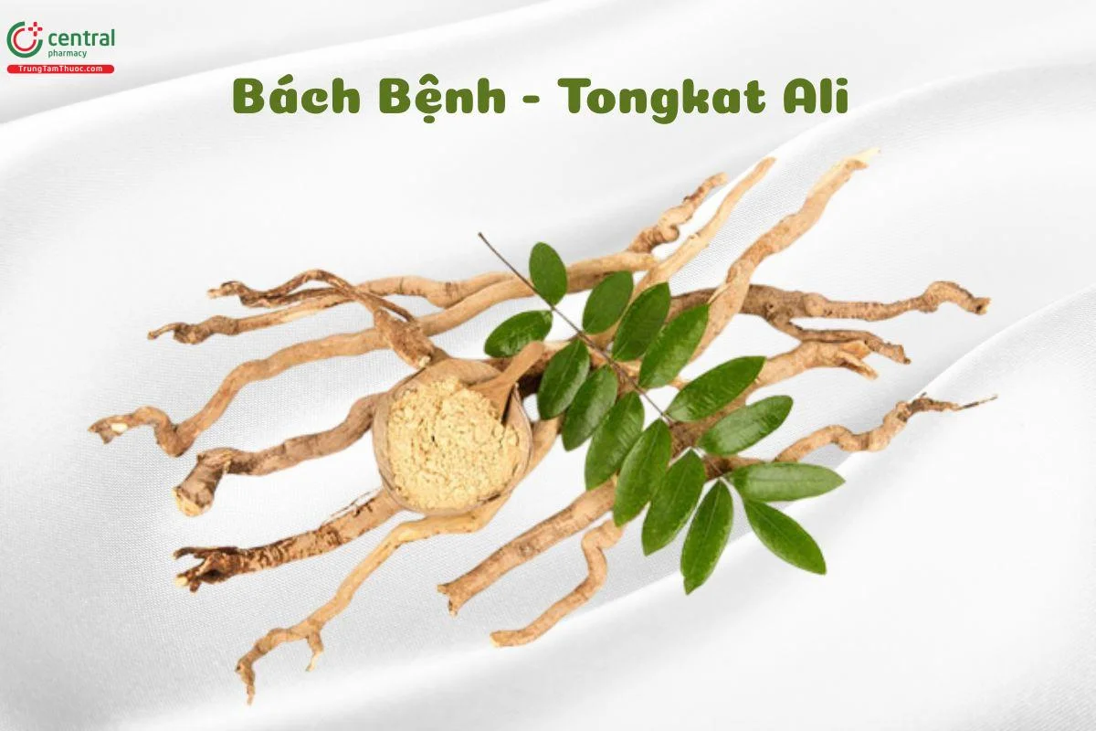 Bộ sưu tập thuốc tăng kích thước cậu nhỏ — ảnh 44