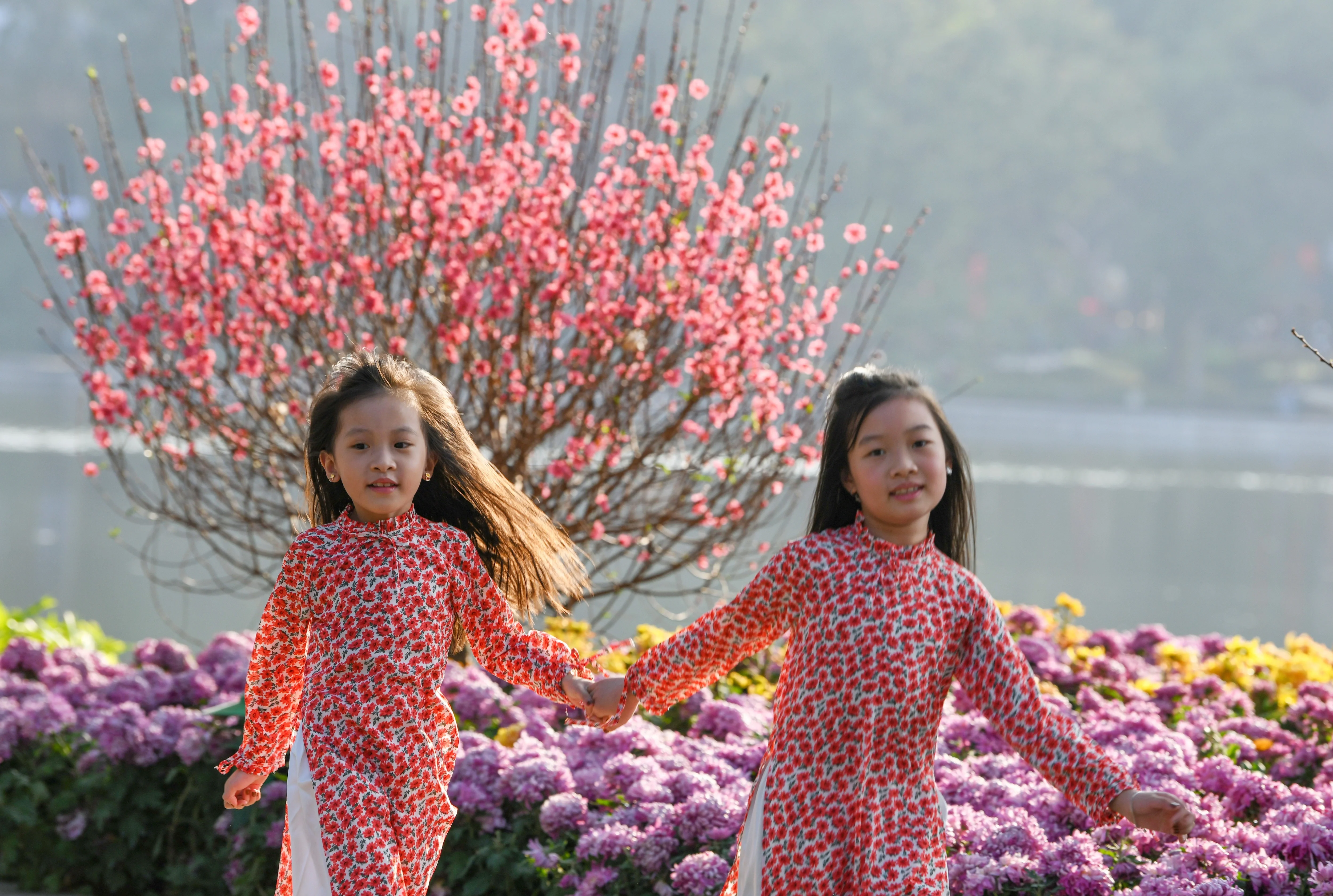Hai bé gái vui đùa bên vườn hoa đào mùa xuân