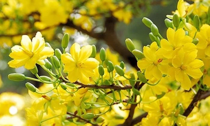 Mùa Xuân - mùa của yêu thương - Báo Người Lao Động