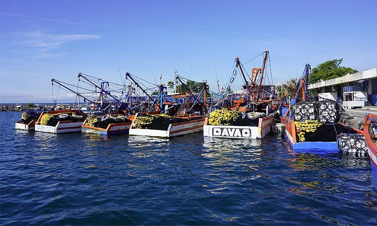 Hình 61 trong bộ top 36 ảnh đại diện đẹp