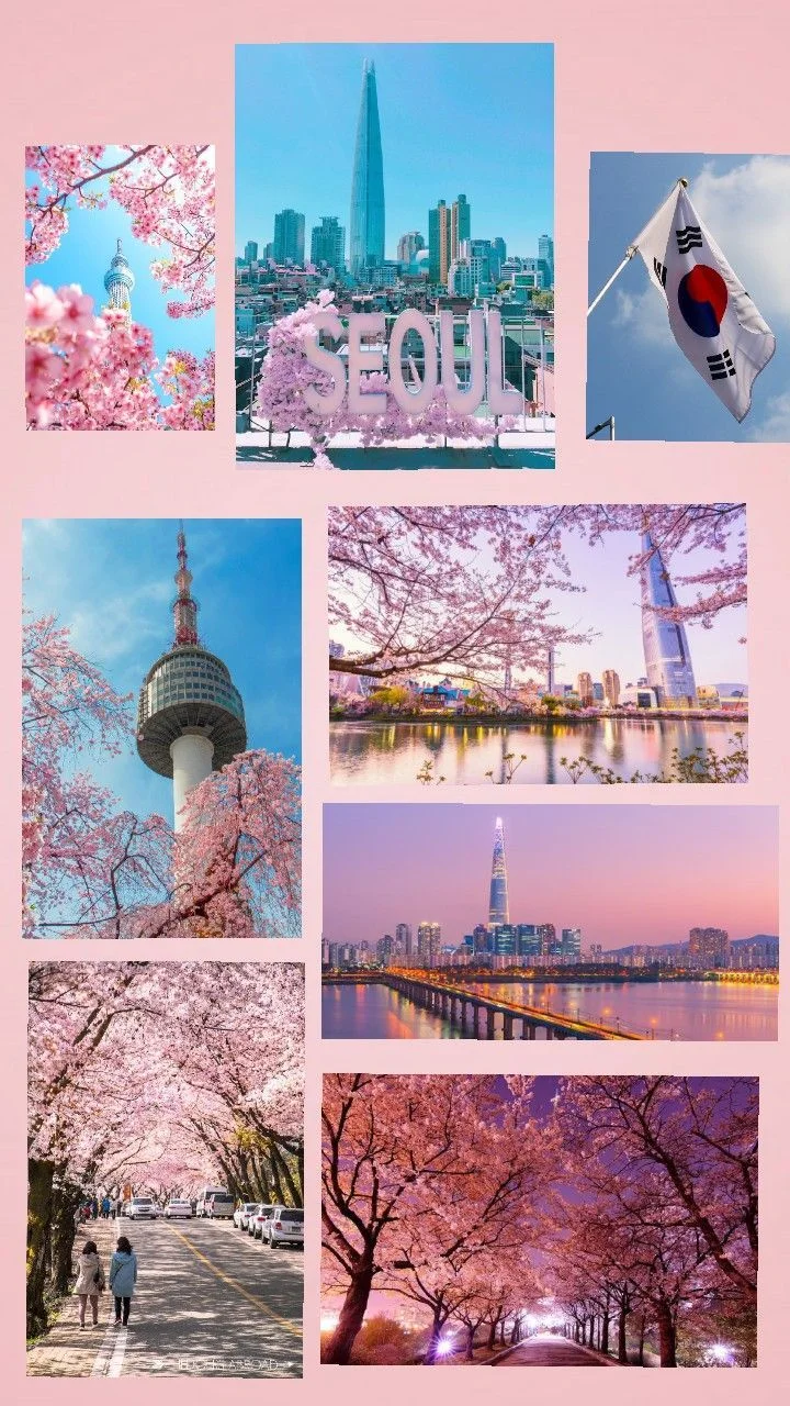 Ảnh mạng gái phong cảnh Seoul mùa xuân với hoa anh đào, tháp N Seoul, tháp Lotte và cờ Hàn Quốc