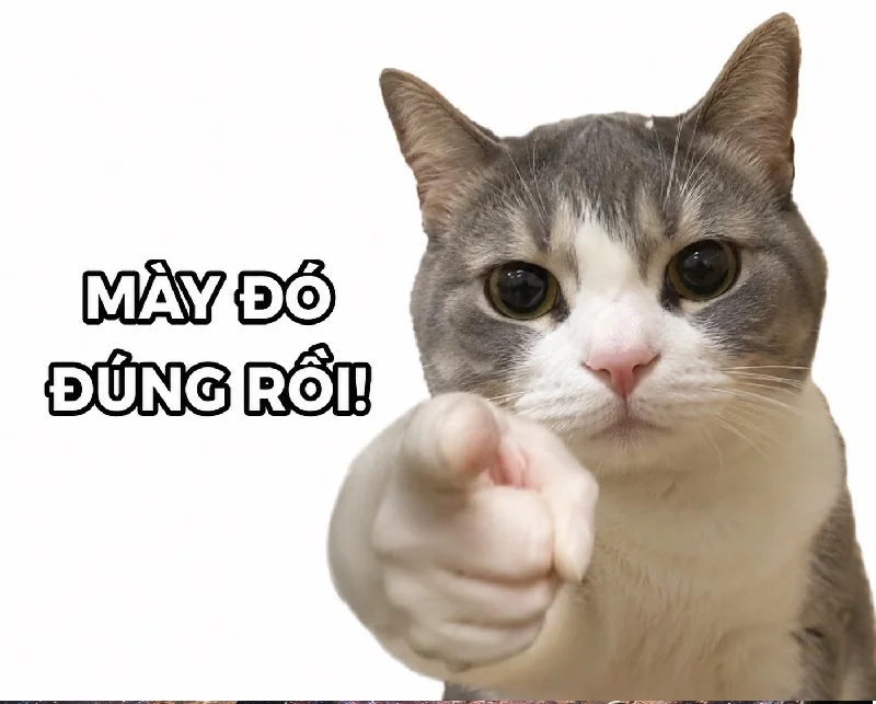 199+ Meme Chỉ Tay siêu hài và lầy lội cười té ghế