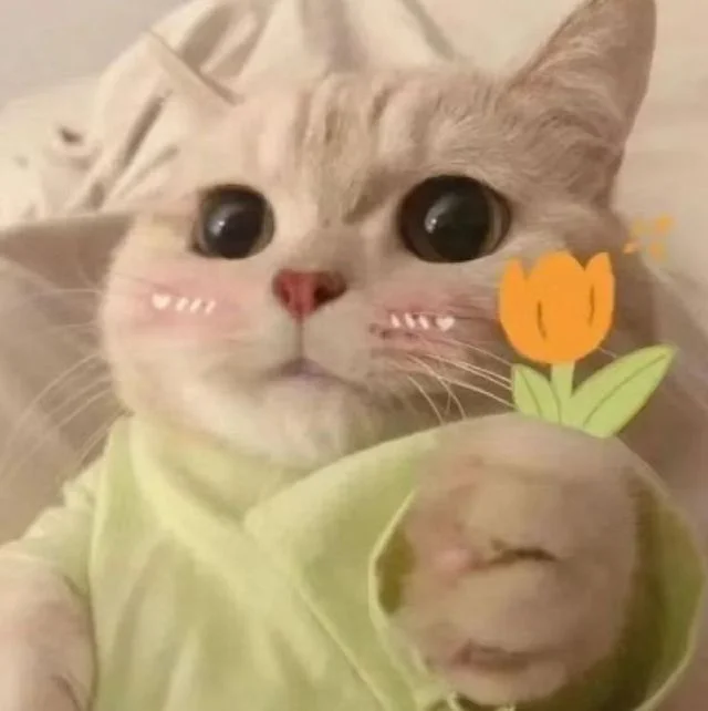 Hình ảnh meme chú mèo trắng mắt to má hồng mặc áo xanh pastel và cầm hoa tulip màu cam
