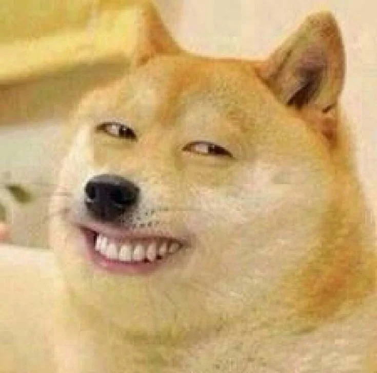 Hình ảnh meme chú chó Shiba Inu cười toe toét với biểu cảm hài hước