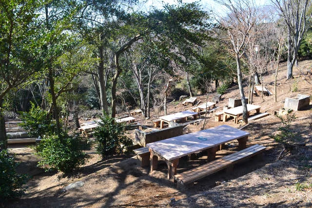 Hình nền dễ thương với khu picnic ngoài trời và bàn ghế gỗ mộc mạc giữa khu rừng yên bình