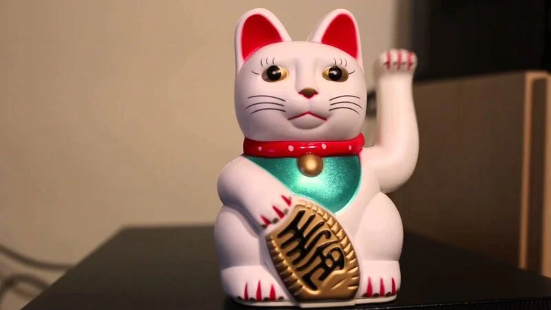 Hình nền may mắn mèo trắng