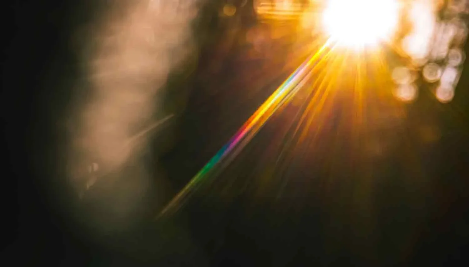 Ảnh phong cảnh chill với ánh nắng vàng xuyên qua tán cây và hiệu ứng lens flare cầu vồng huyền ảo