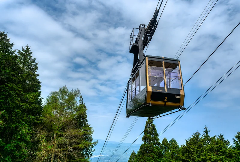 Cabin cáp treo treo giữa trời xanh và rừng cây xanh mướt