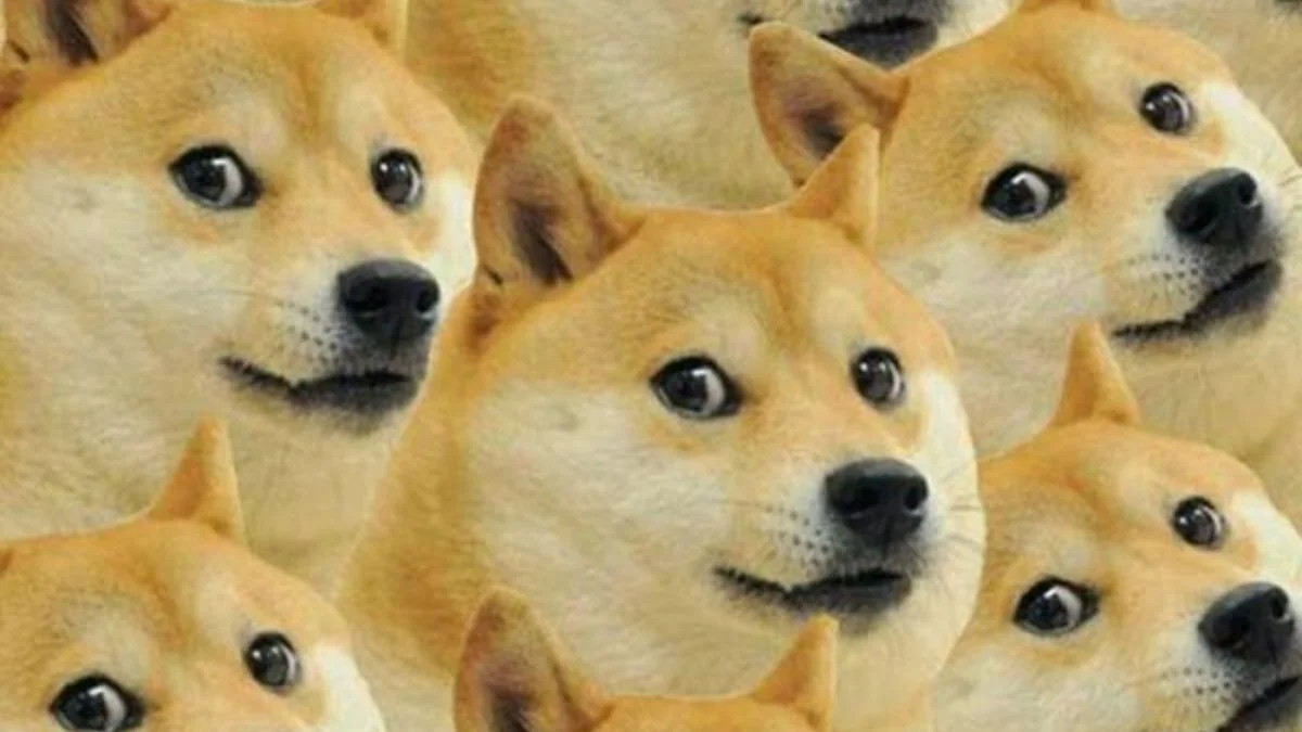 Ảnh meme hài hước mặn