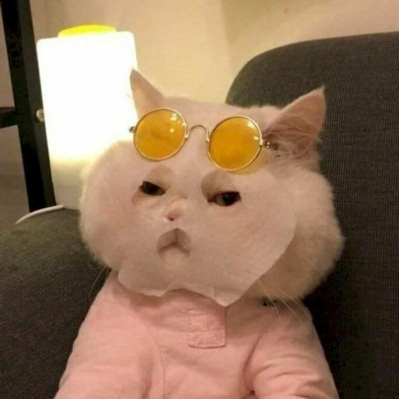 Ảnh meme hài hước trớ trêu