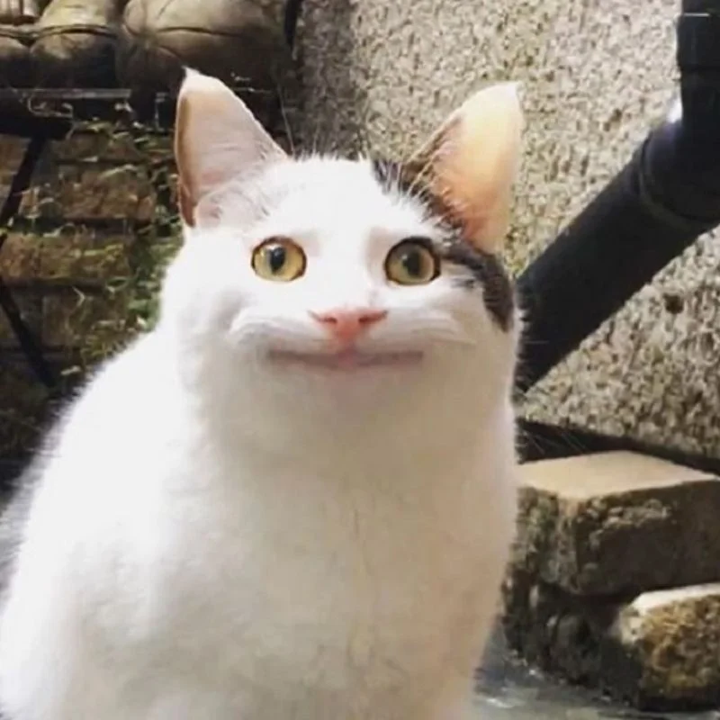 Ảnh meme hài hước duyên