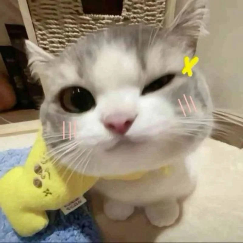 Những ảnh meme cute HOT nhất hiện nay