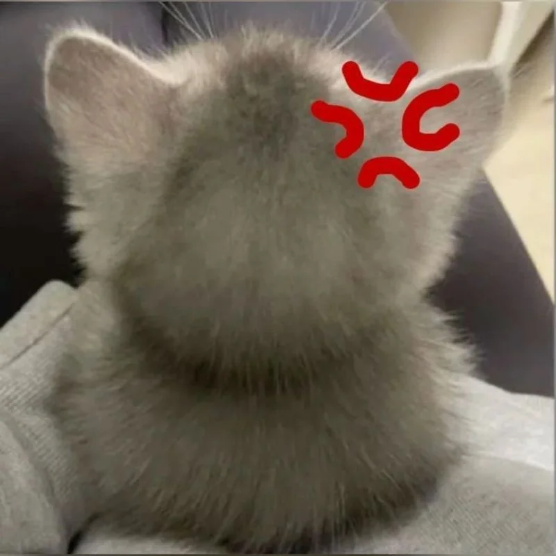 Bộ sưu tập ảnh Meme dỗi cute cưng xỉu, thả đâu cũng hợp mood (2)