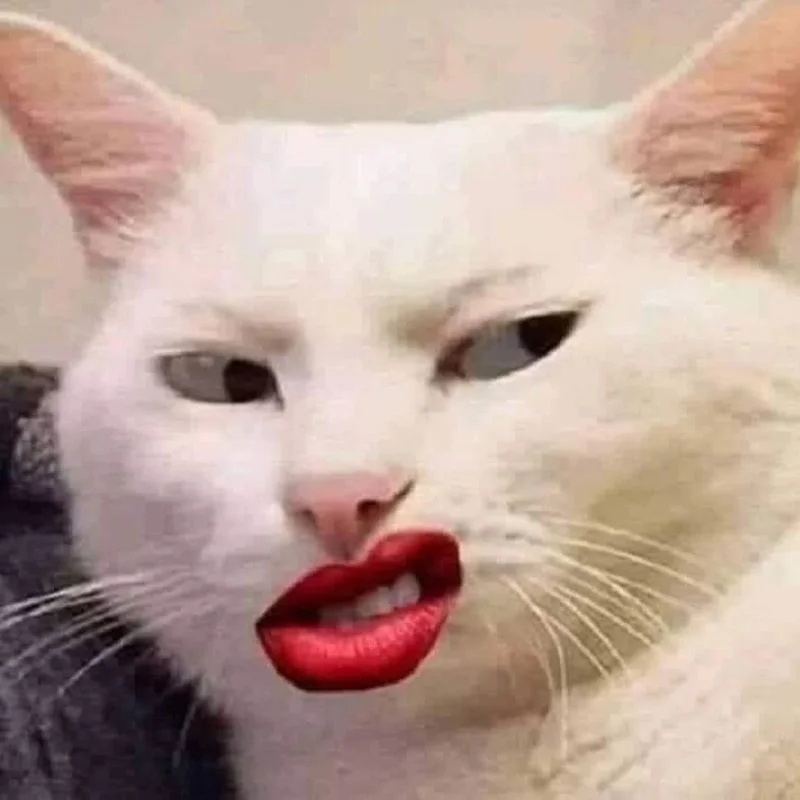 Ảnh meme hài hước buồn ngủ