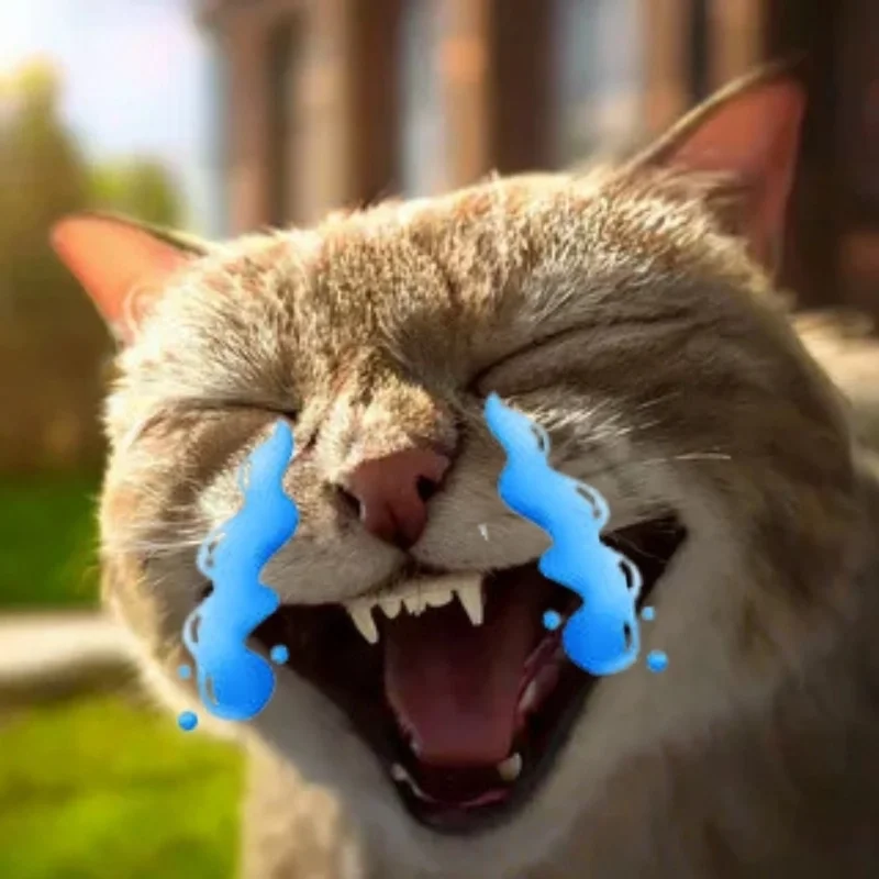 Những ảnh meme mèo cute hot trend mạng xã hội hiện nay