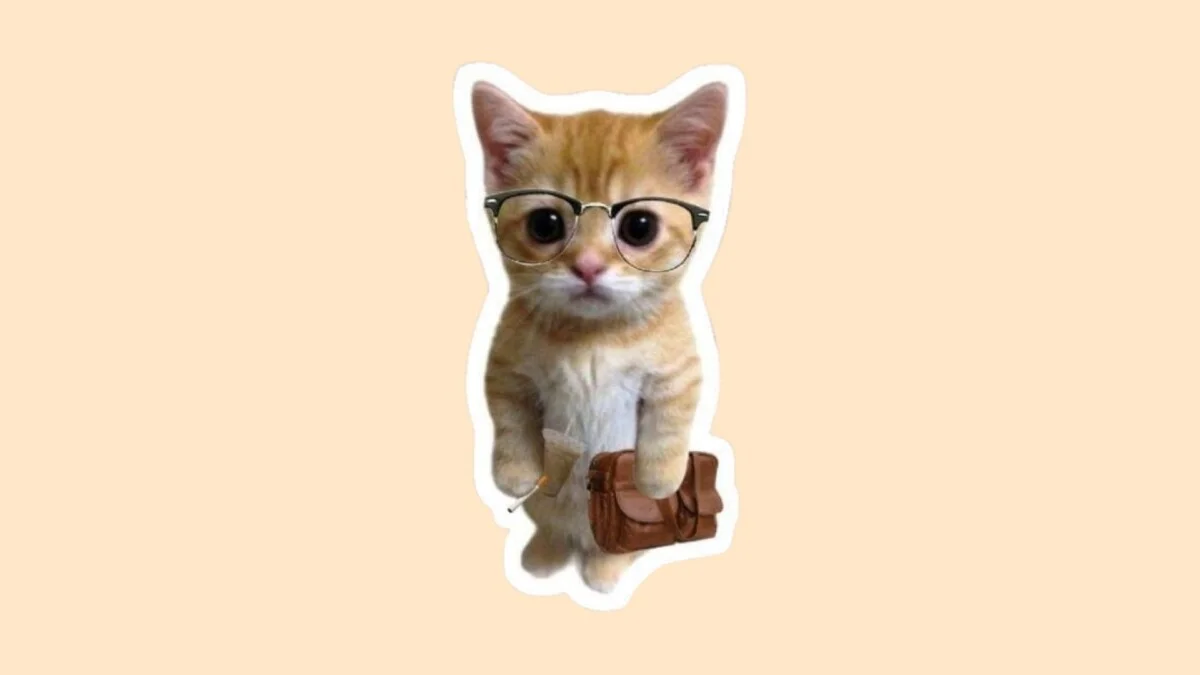 Hình con mèo cute 45