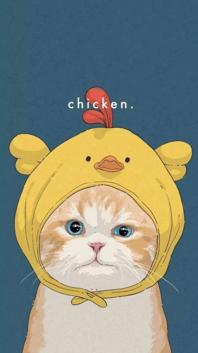 Hình nền mèo đáng yêu