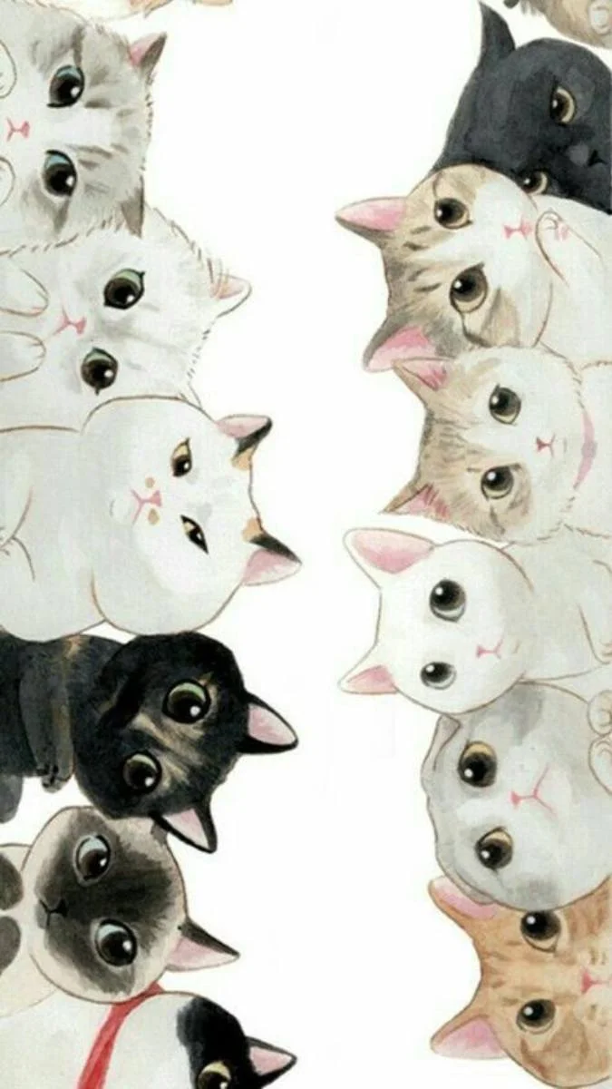 Hình nền mèo cực dễ thương